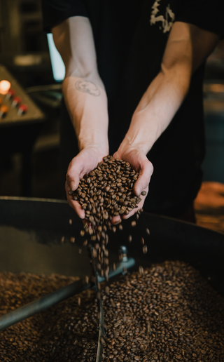 Hands holding freshly roasted beans in front of the roaster