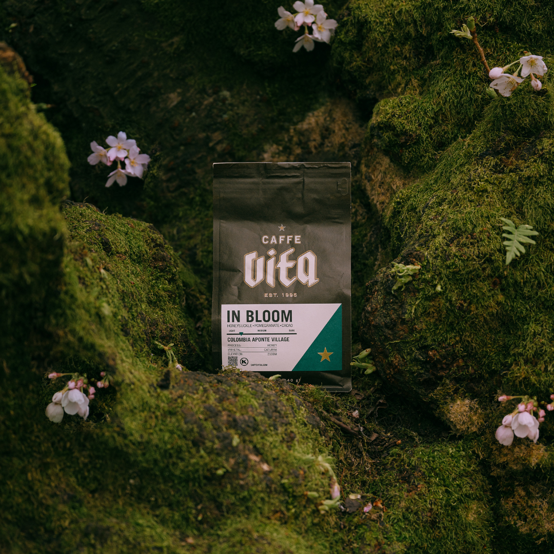 Center, 12oz bag of In Bloom nestled into mossy tree dotted with cherry blossom blooms. 