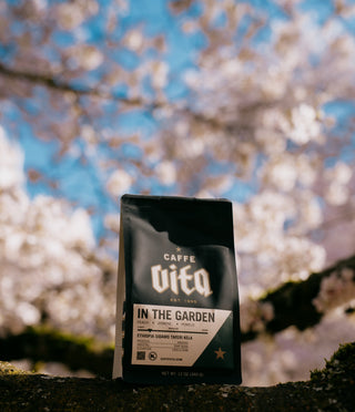 Caffe VITA coffee bag with cherry blossoms in the background