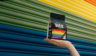 Hand holding a bag of VITA coffee against a colorful striped background